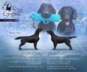 Griffella_flyer_2023_2